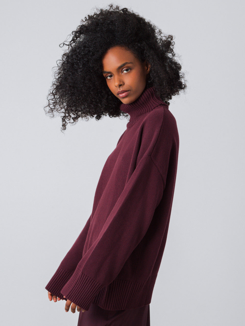 Chunky Turtleneck Women